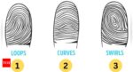 Personality Test: Here's what your fingerprint reveals about you |