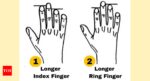 Personality Test: The length of your finger determines your hidden traits |