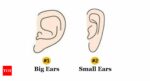 Personality Traits: The size of your ears can uncover your hidden traits |