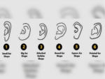 Personality test: The shape of your ear reveals insight into your hidden traits