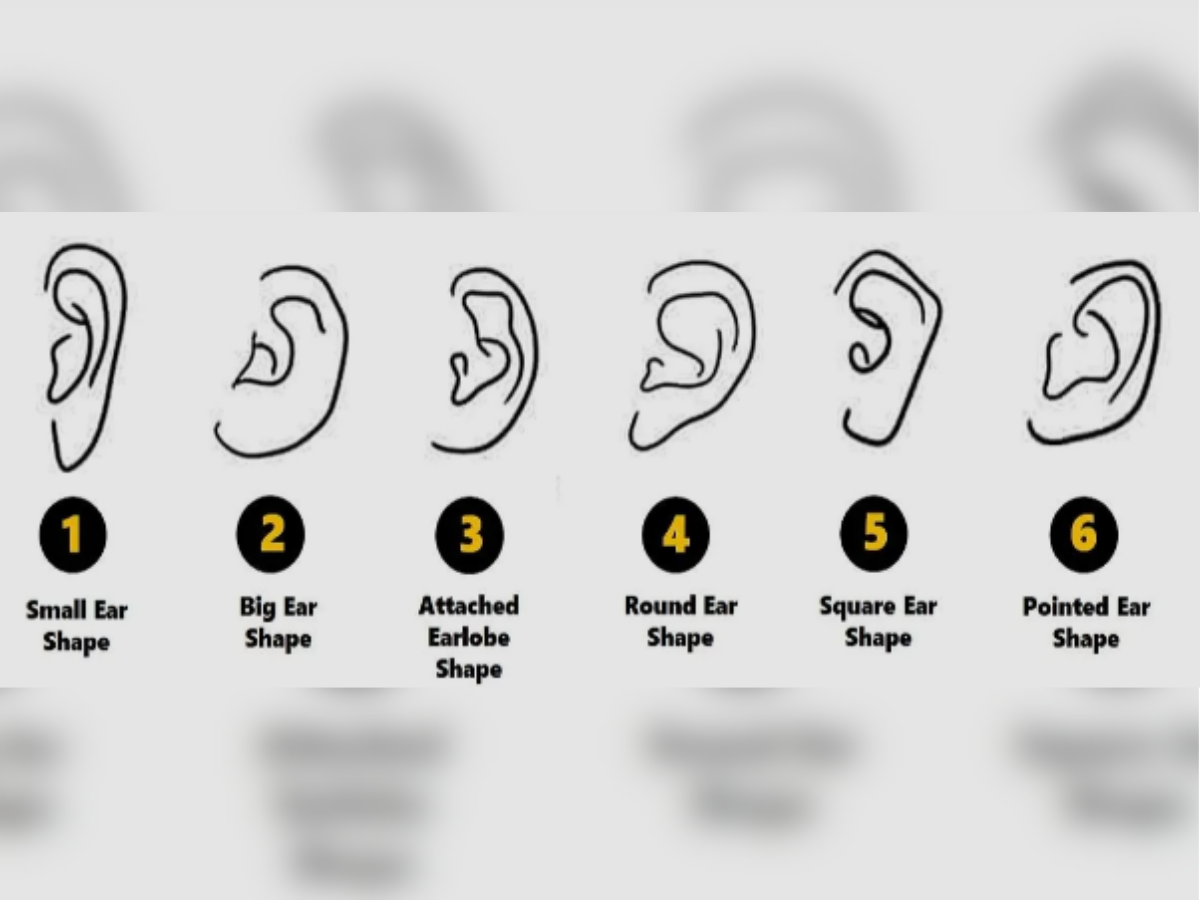 Personality test: The shape of your ear reveals insight into your hidden traits