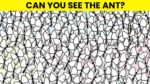 Picture Puzzle IQ Test: Only 1% Truly Observant Can Spot The Ant In 5 Seconds!