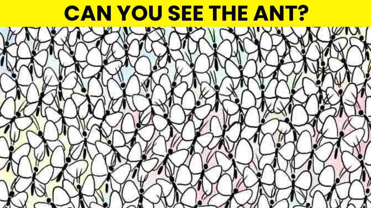 Picture Puzzle IQ Test: Only 1% Truly Observant Can Spot The Ant In 5 Seconds!