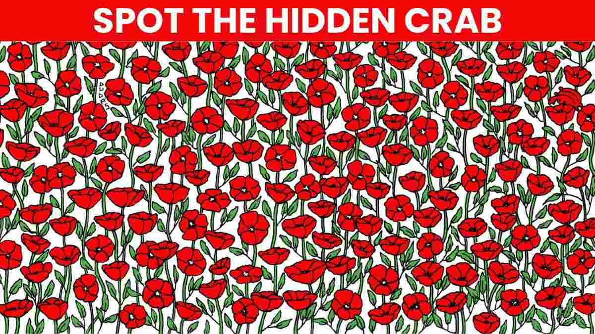 Picture Puzzle IQ Test: Only 2% Visually Genius Can Spot The Crab In 5 Seconds!