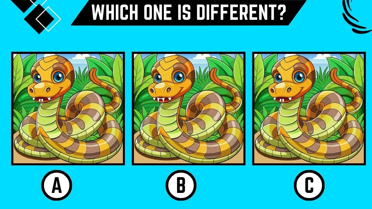 Picture Puzzle IQ Test: Only the Sharpest Eyes Can Spot the Different Snake in 8 Secs