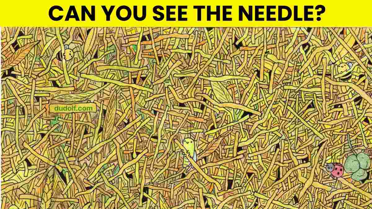 Picture Puzzle IQ Test: Use Your Sharpest Vision To Spot The Needle In ...