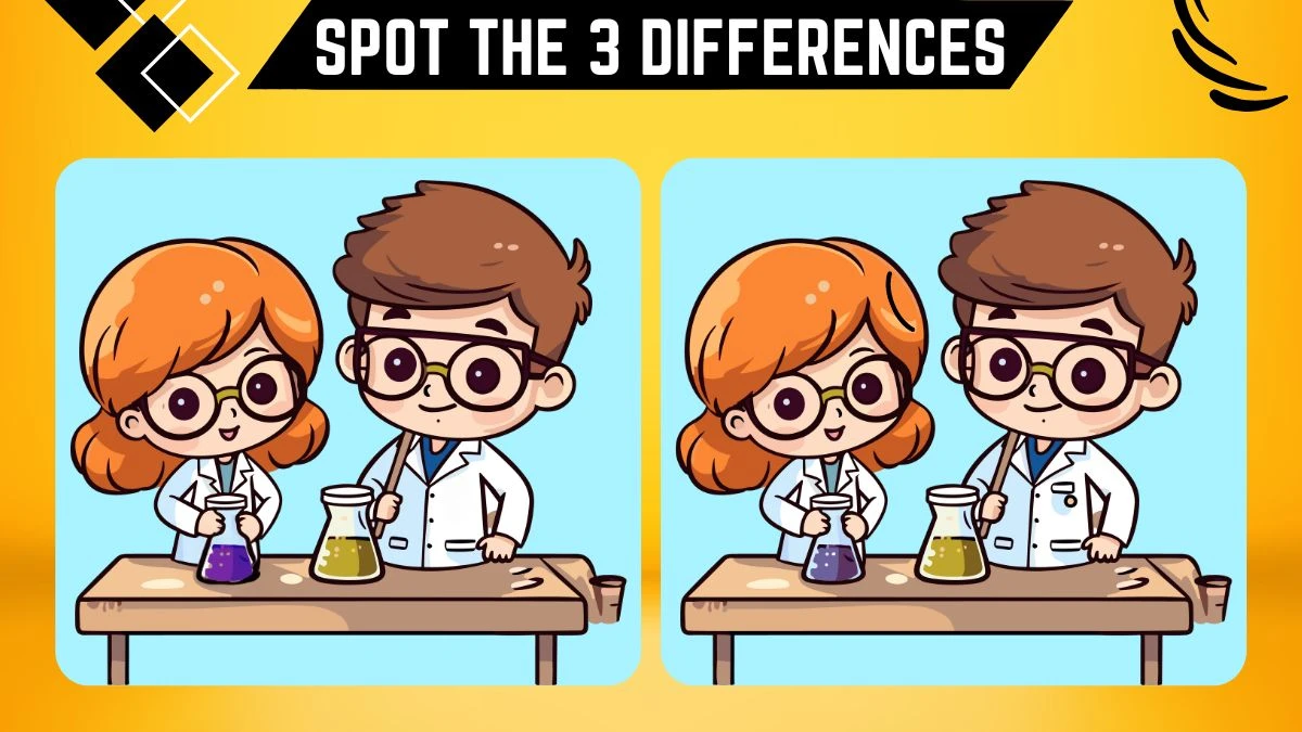 Spot the 3 Differences: Only Eagle Eyes Can Spot the 3 Differences in this Image in 10 Secs