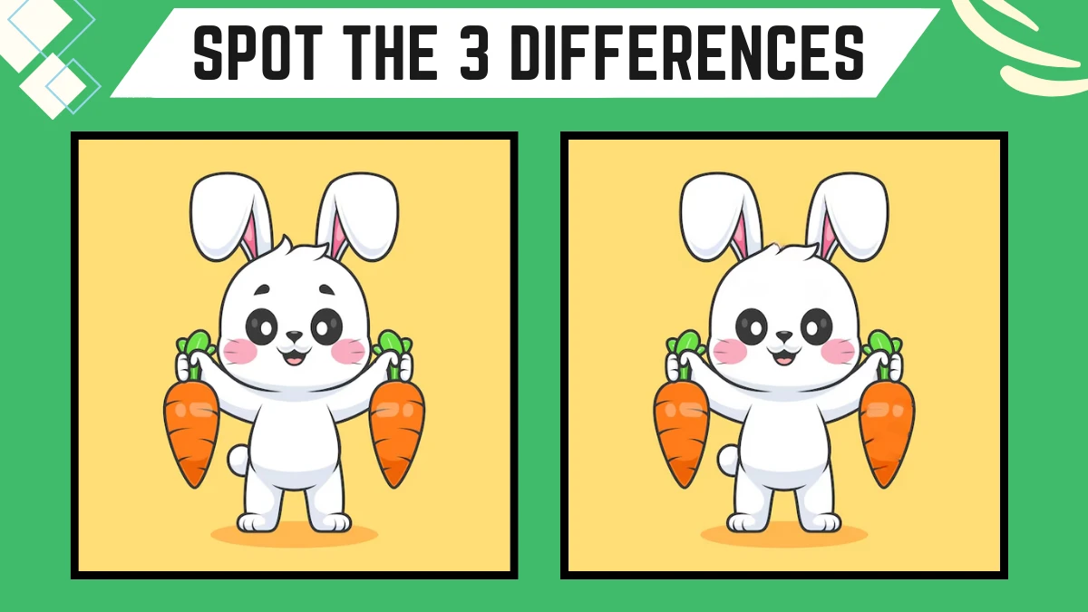 Spot the 3 Differences: Only Eagle Eyes People Can Spot the 3 Differences in this Rabbit Image in 9 Secs