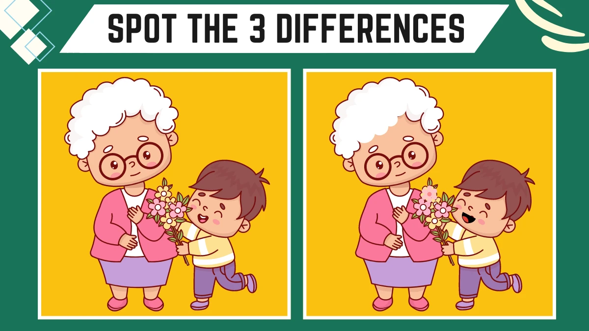 Spot the 3 Differences: Only People 20/20 Vision Can Spot the 3 Differences in this Grandma and her Grandson Image in 8 Secs