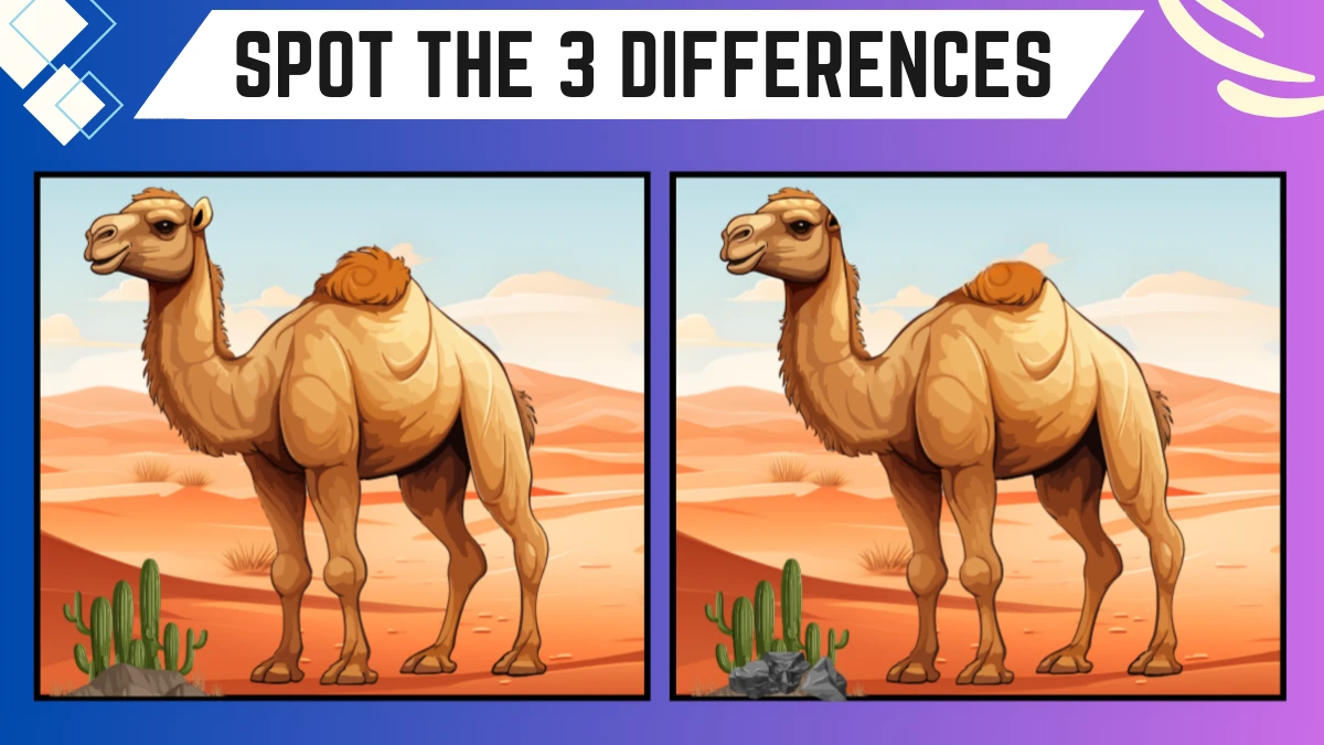 Spot the 3 Differences: Only the Sharpest Eyes Can Spot the 3 Differences in this Camel Image in 12 Secs