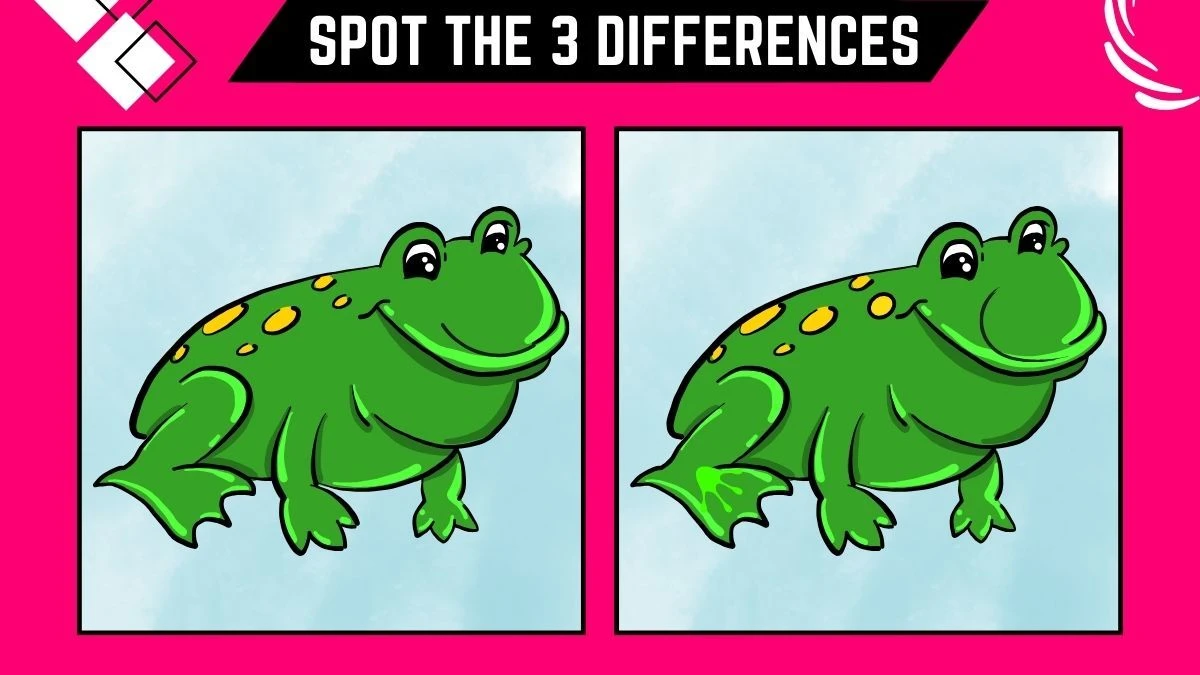 Spot the 3 Differences Picture Puzzle Game: Only People with high-quality eyes Can Spot the 3 Differences in this Frog Image in 9 Secs