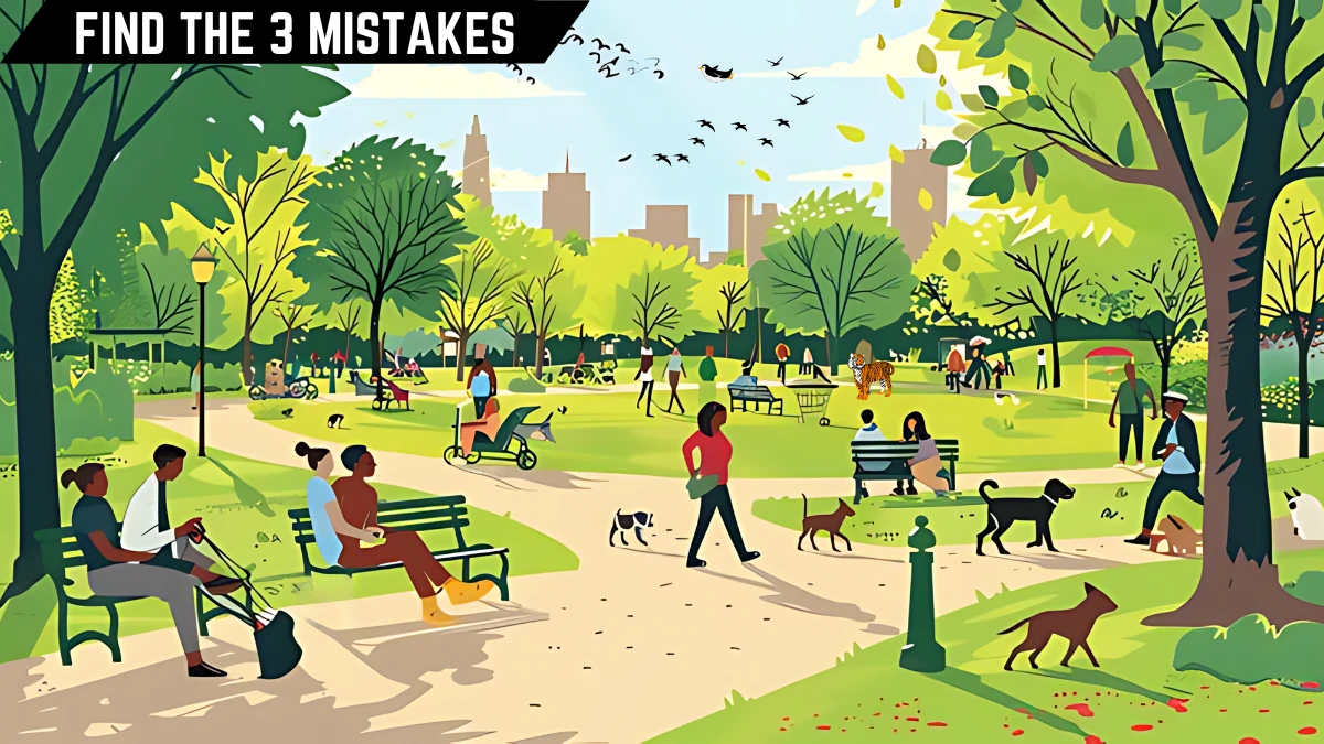 Spot the 3 Mistakes Picture Puzzle: Only Genius Can Spot the 3 Mistakes in this park Image in 10 Secs