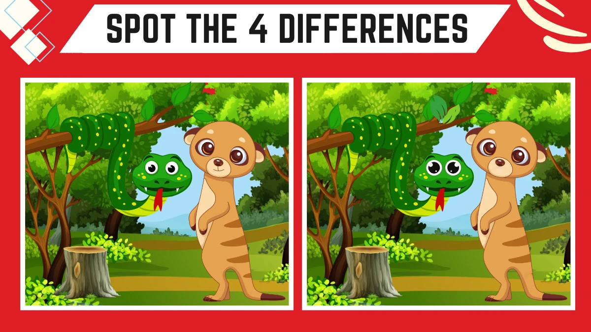 Spot the 4 Differences: Only People with 20/20 Vision People Can Spot the 4 Differences in this Snake and Mongoose Image in 15 Secs