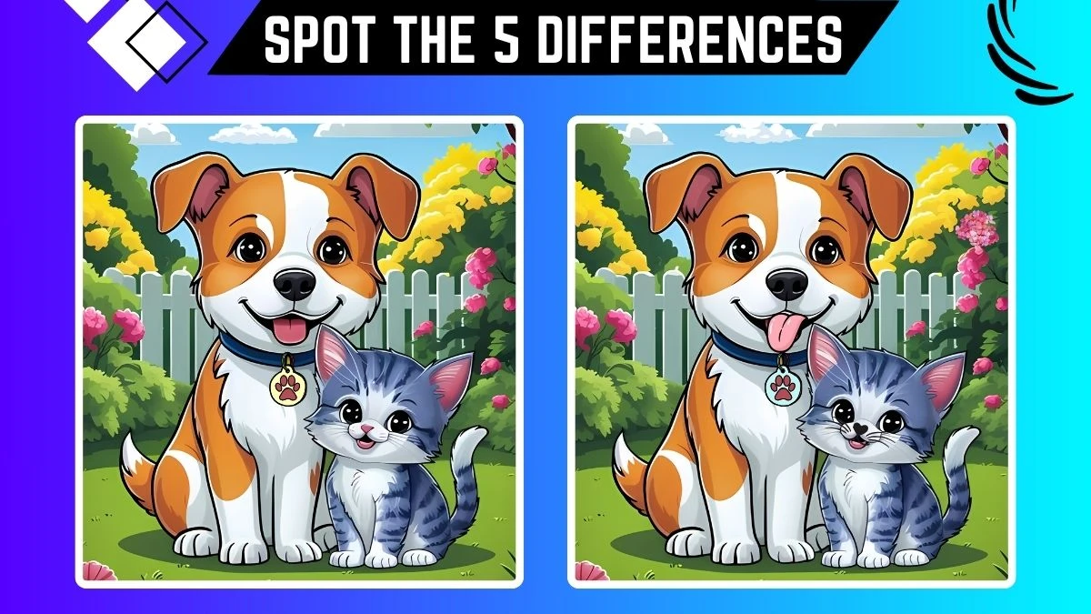 Spot the 5 Differences: Only X-Ray vision can Spot the 5 Differences in this Dog and Cat Image in 14 Secs