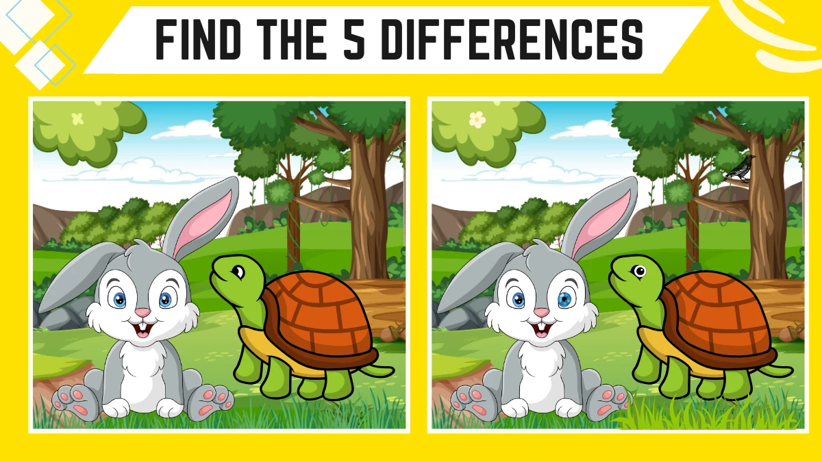 Spot the 5 Differences Picture Puzzle Game: Only Genius with Extra Sharp Eyes Can Spot the 5 Differences in this Rabbit and Tortoise Image in 14 Secs