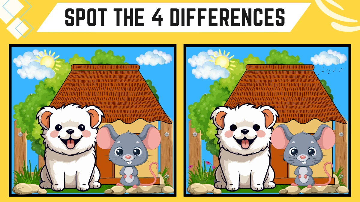 Spot the Difference Game: Only 50/50 Vision Can Spot the 4 Differences in this Cat and Rat Image in 12 Secs