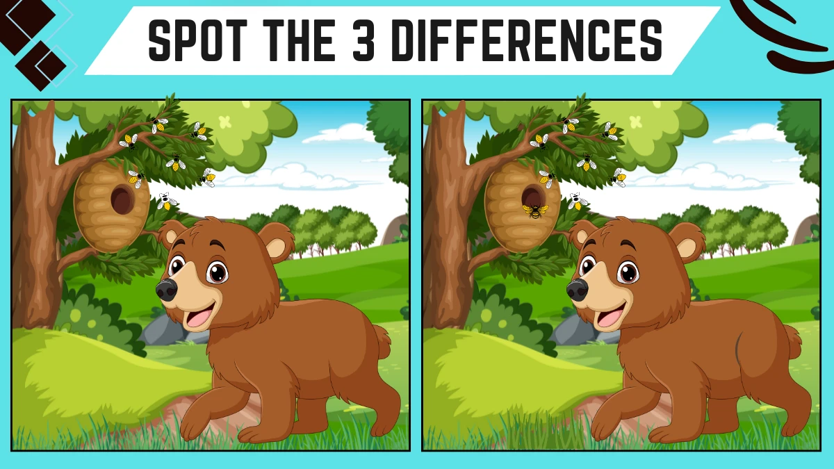 Spot the Difference Game: Only People with Extra Sharp Eyes Can Spot the 3 Differences in this Baby Bear Image in 8 Secs