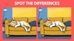 Spot the differences between the sleeping cat pictures in 19 seconds!