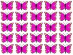 TEST: Can you find the most unusual butterfly?