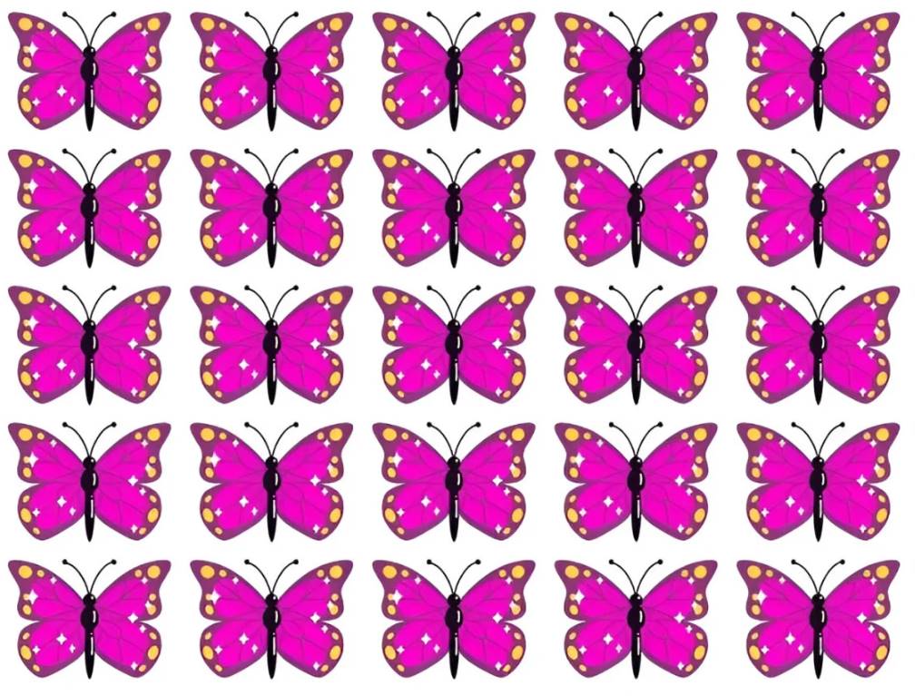 TEST: Can you find the most unusual butterfly?