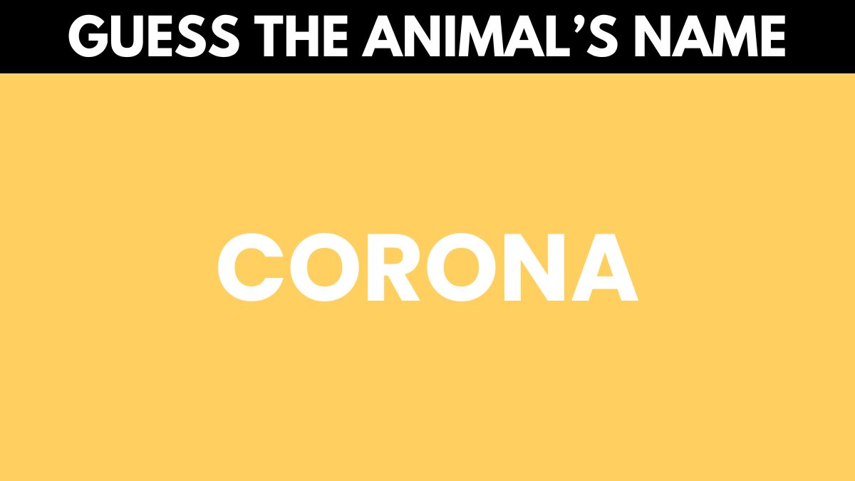 Test your IQ by guessing the animal's name in 3 seconds!