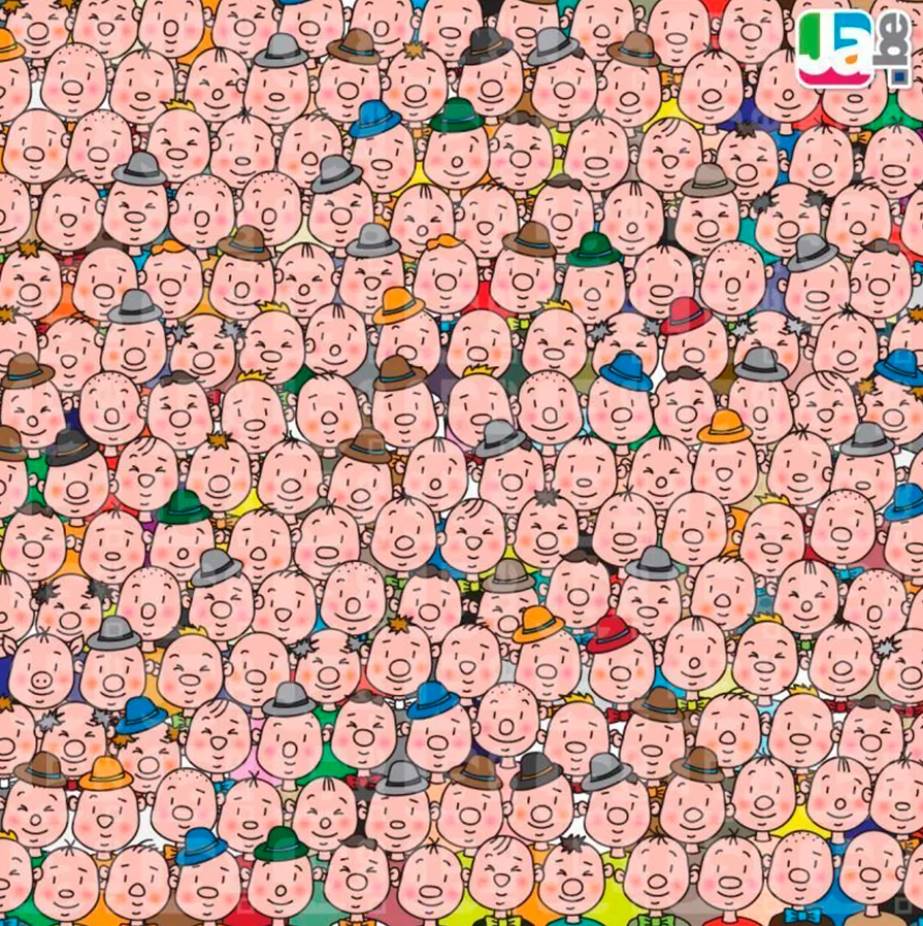 The boy ‘transformed’ into a piglet – find him in the picture.