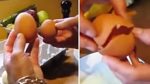 The farmer found a huge egg and showed what was inside it. They surely didn’t expect this