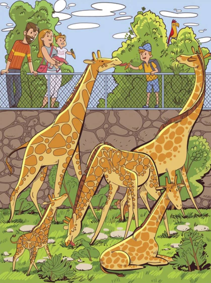 The monkey hid in the enclosure with the giraffes – find it within 30 seconds.