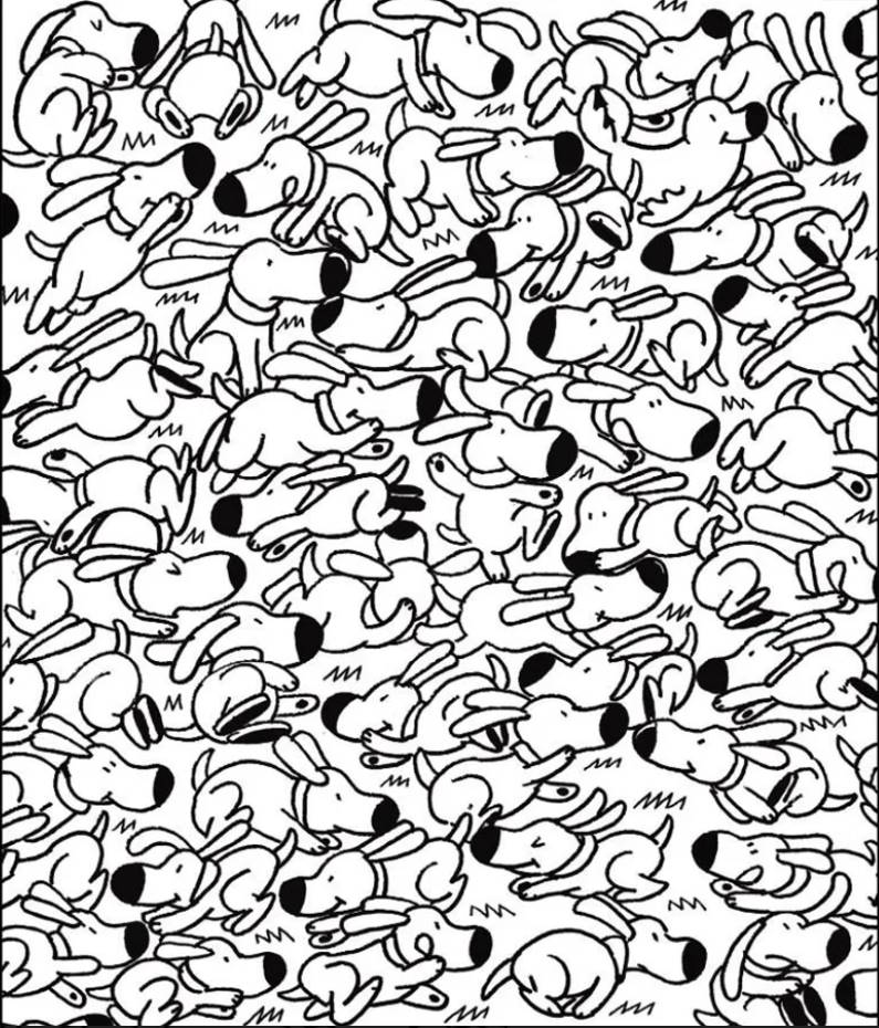 The seal decided he’s a dog and got lost in the crowd. Can you find him?