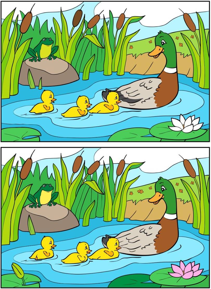 There are 10 differences between these two adorable images. You have 20 seconds to spot all of them!