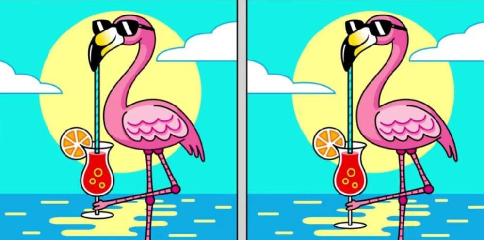 There are 3 differences between the two similar flamingo images. Spot all of them right now!