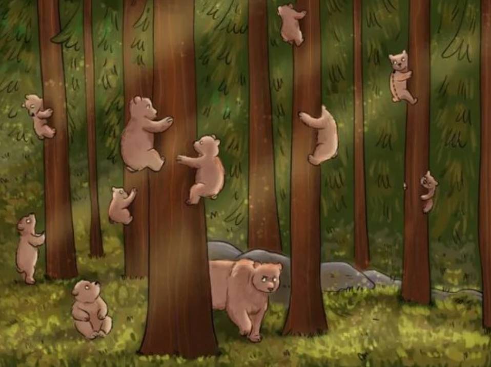 There is a human in this image hiding from the bears. Can you find him?