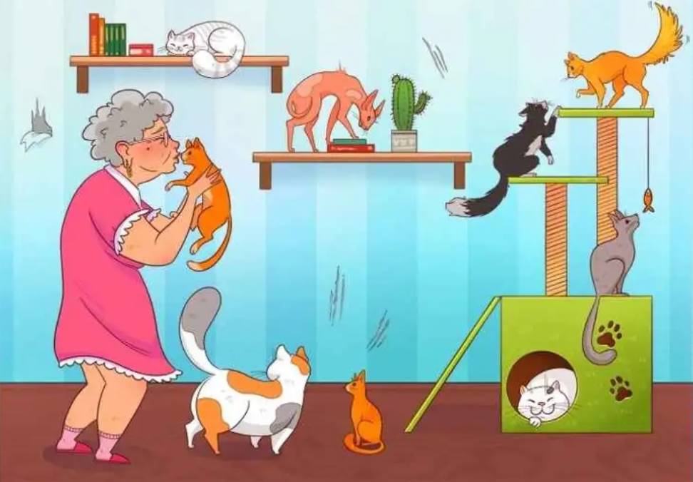 There is a mistake in this kind and cute image of a grandma playing with her cats. Find it!