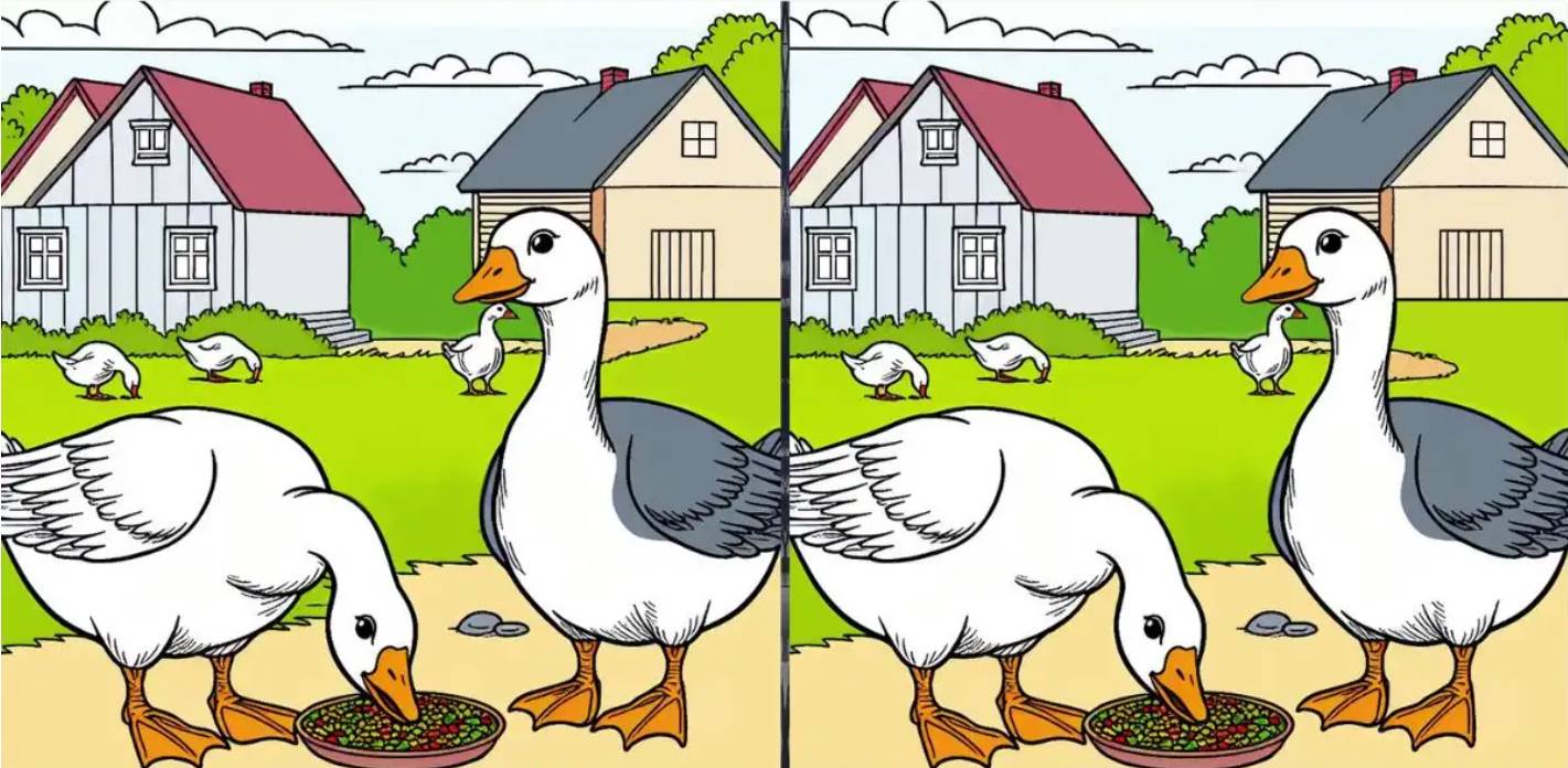 These two absolutely identical images actually have three differences. Are you able to locate them?