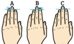 This is what the length of your fingers can tell about you. The uniqueness of the human body