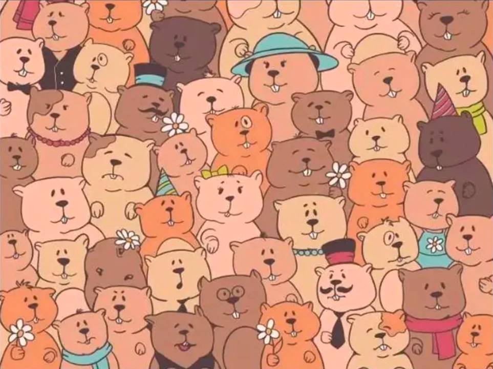 Too cute test: find the potato among the smiling beavers