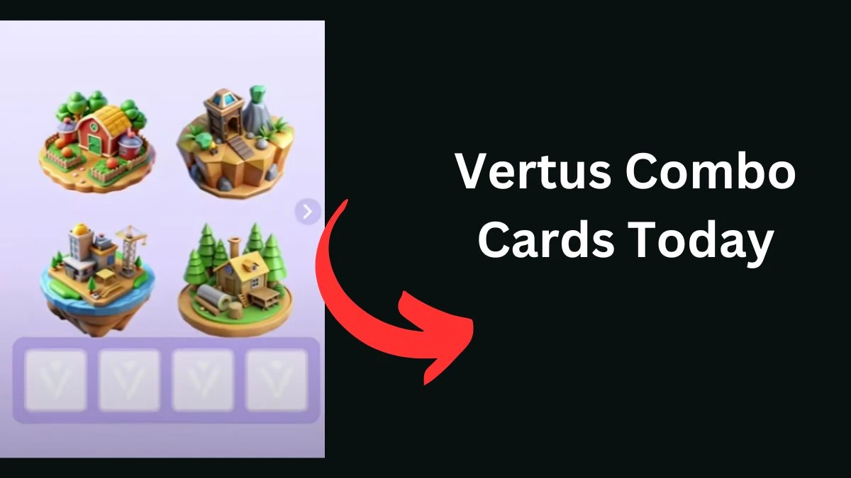 Vertus Bot Daily Combo Cards 14 November 2024