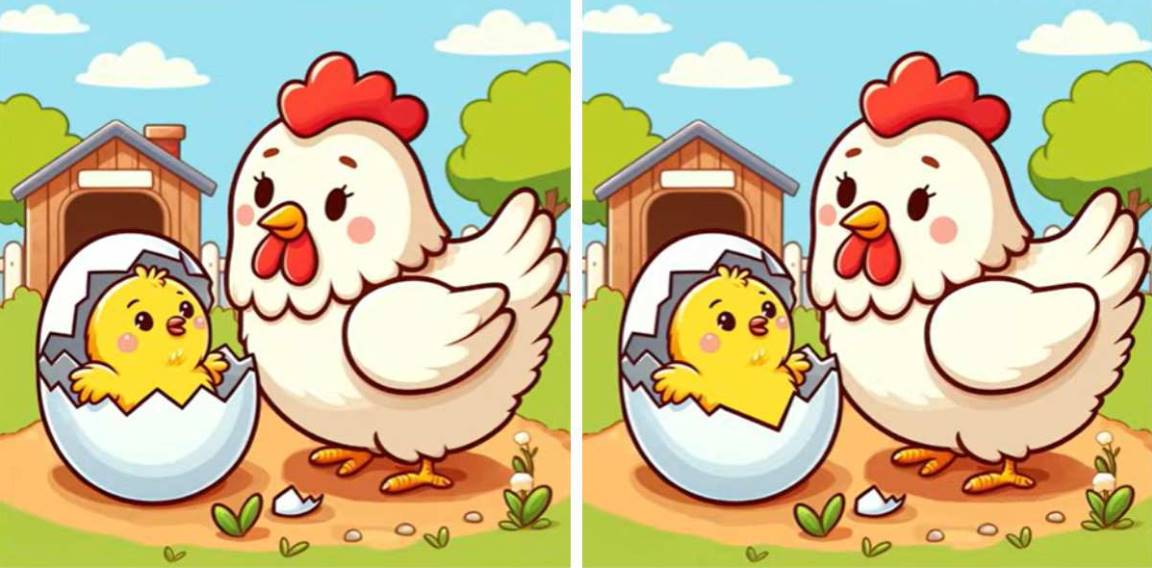 Within 12 seconds, identify 3 differences between the photographs of the cute hen and her baby