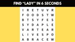 Word Search Puzzle: Find the word ”LADY” in 6 seconds!