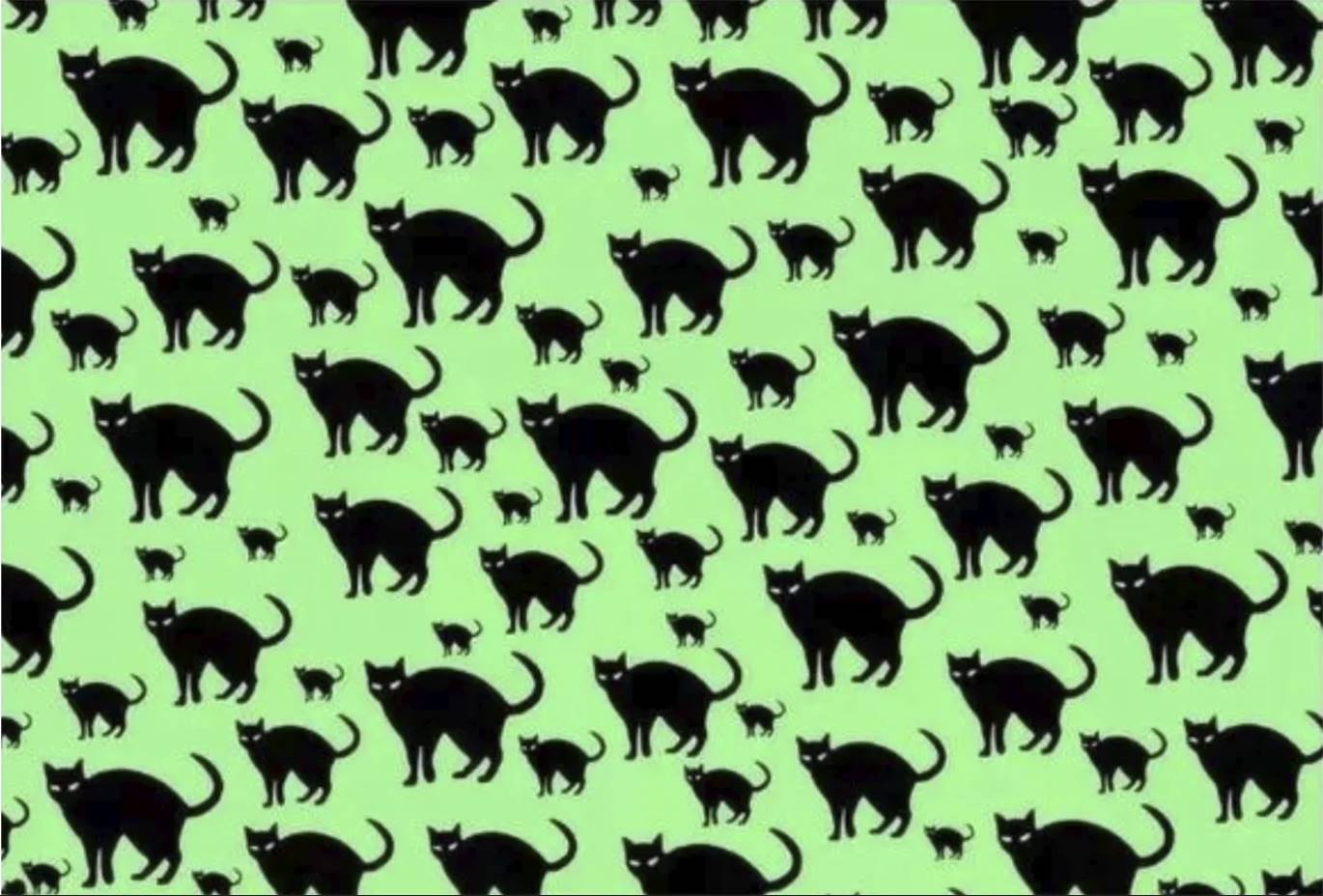 You’re a genius if you can find the rat in this optical illusion.