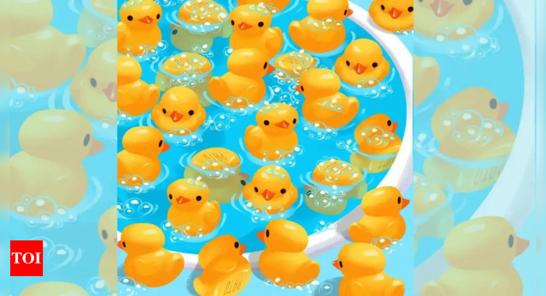 Optical Illusion: Only people with sharpest eyes can spot the soap among the toy ducks