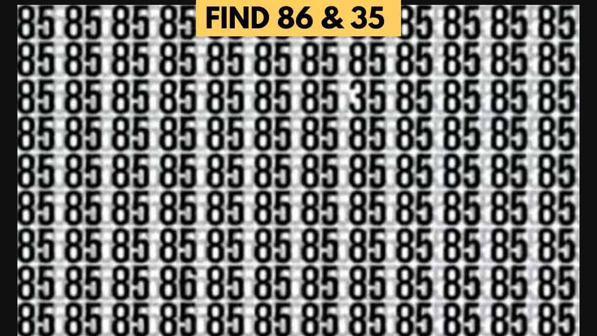 Brain Teaser: Only 1% Visually Sharp Can Find 86 and 35 in 6 Seconds!