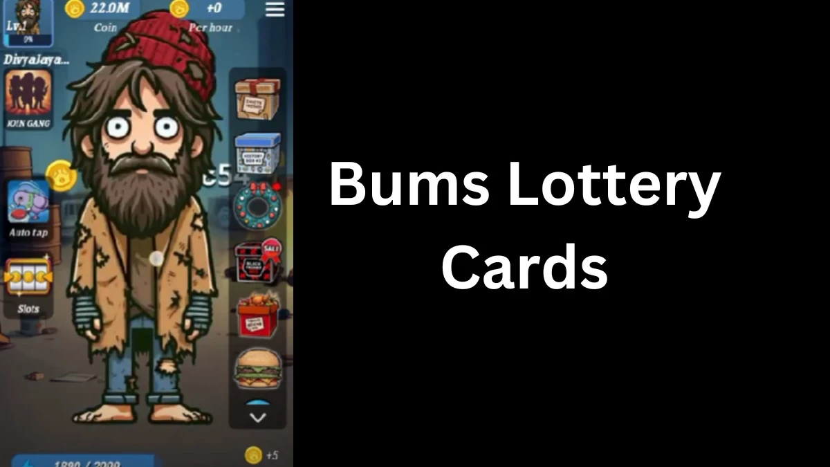 Bums Lottery Cards Today 16 December, Bums Daily Lottery Cards