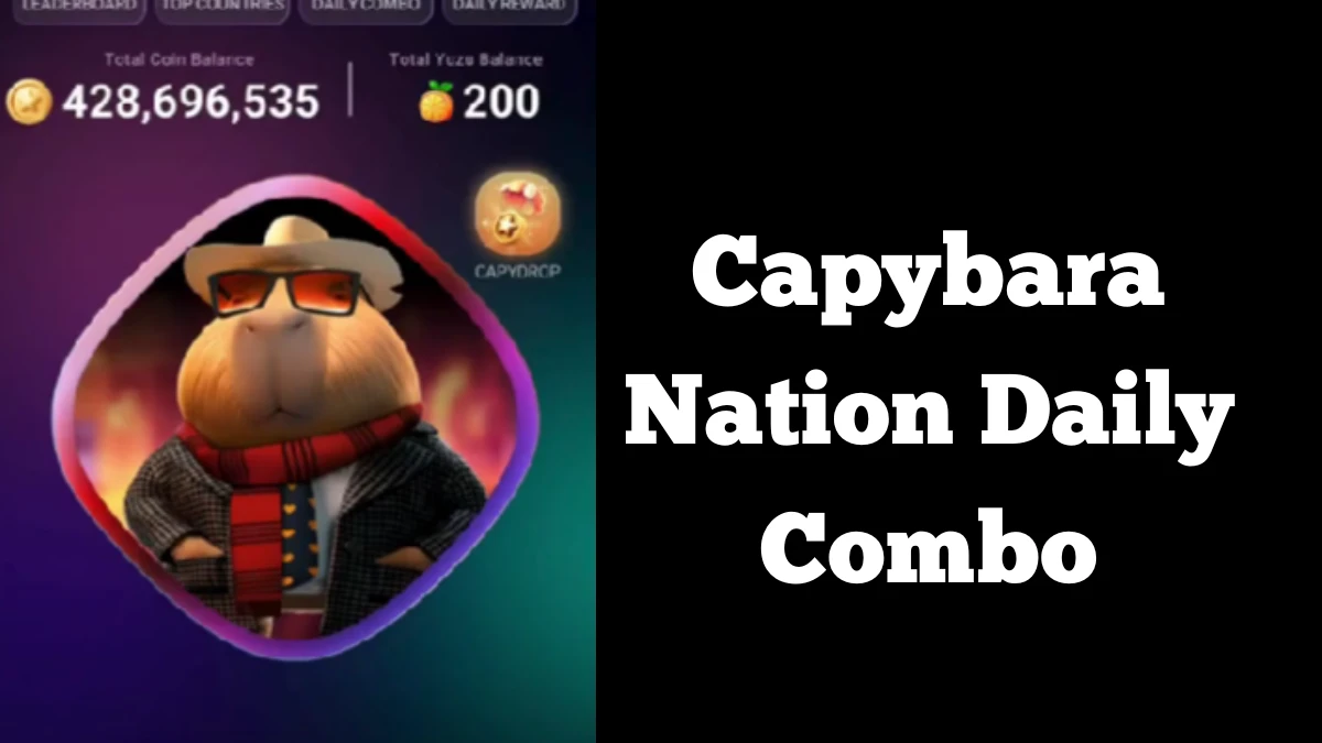 Capybara Nation Daily Combo 11th December 2024