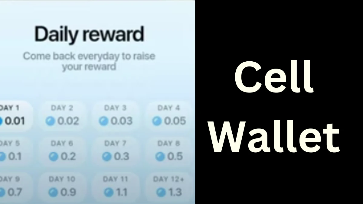 Cell Wallet Daily Combo 14 December, CellWallet Airdrop Combo Today