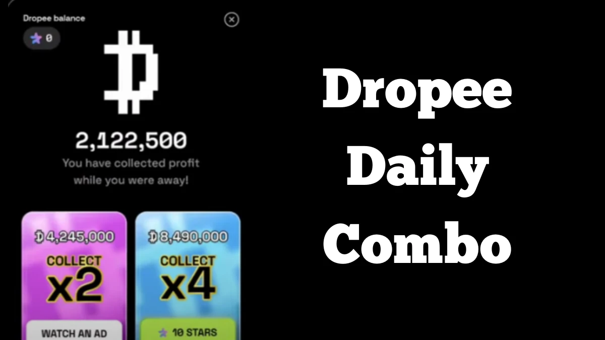 Dropee Daily Combo Today 10th December