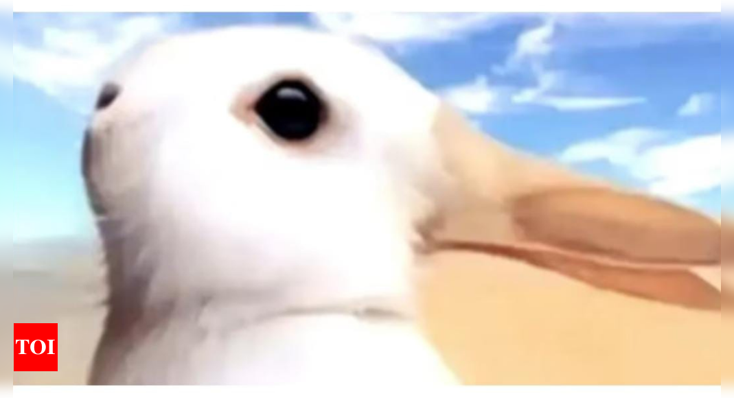 Duck or a Bunny? What you see in this picture reveals your personality traits