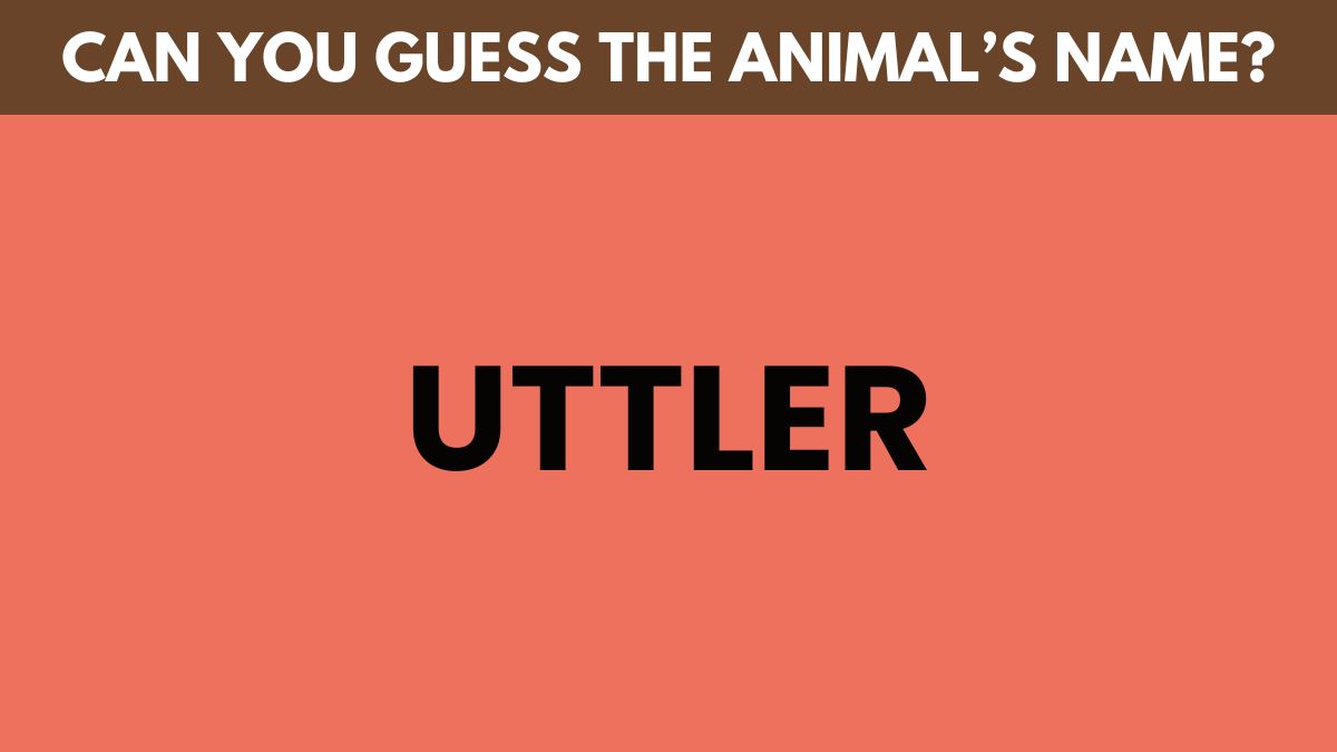 IQ Test: Only high IQ minds can guess the animal's name in 6 seconds!