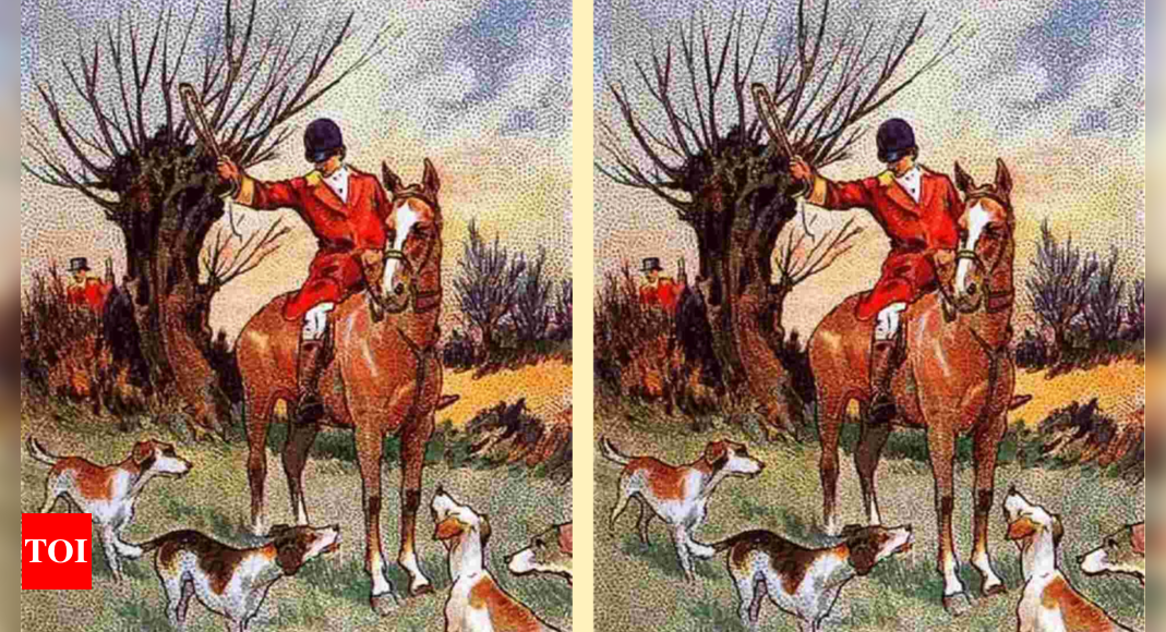 Optical Illusion: Can you find the hidden fox in this hunting scene? |