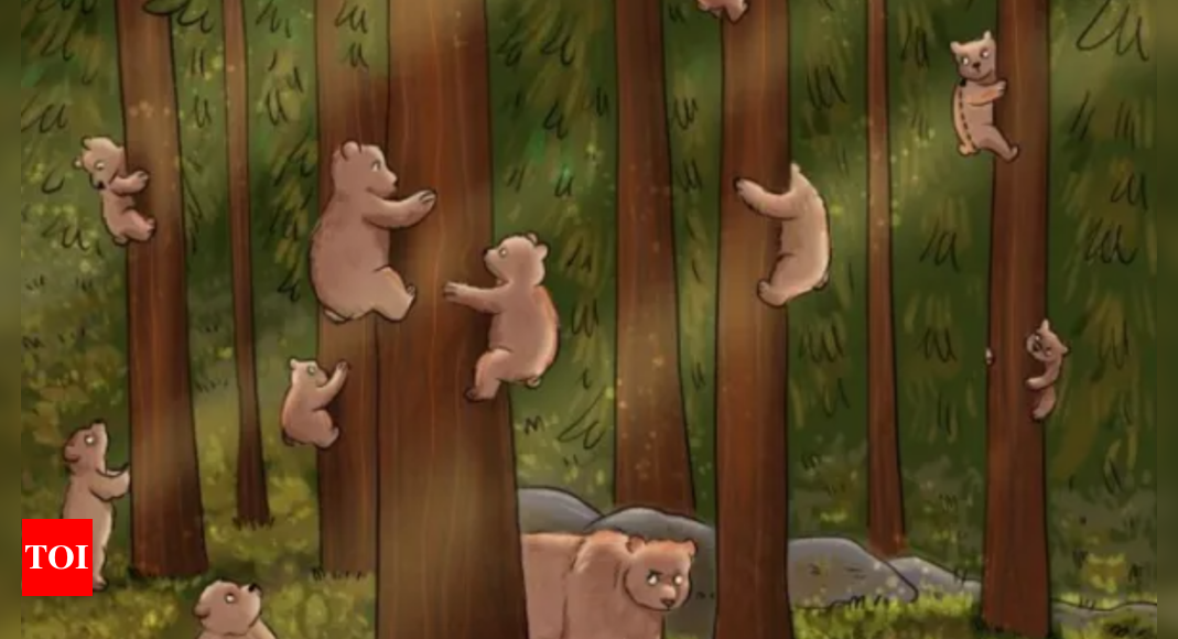 Optical Illusion: Can you find the hidden human among these bears?